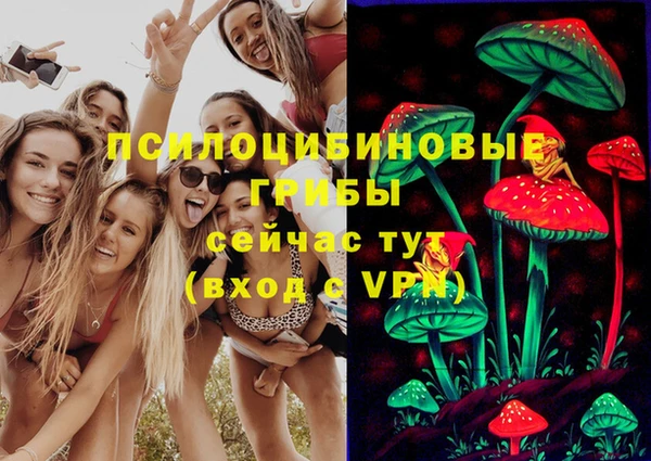 дурь Алексеевка