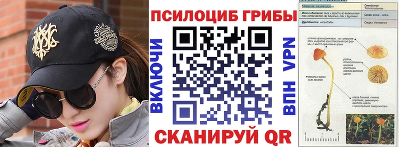 blacksprut вход  нарко площадка формула  Псилоцибиновые грибы MAGIC MUSHROOMS  Омутнинск 